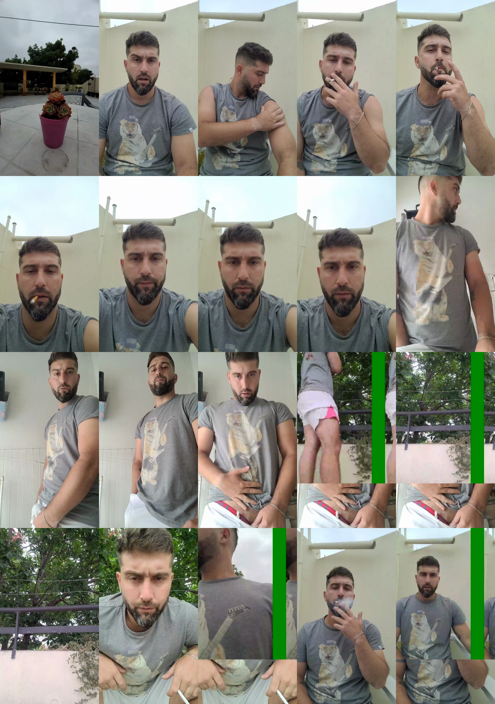 damifox  14-11-2022